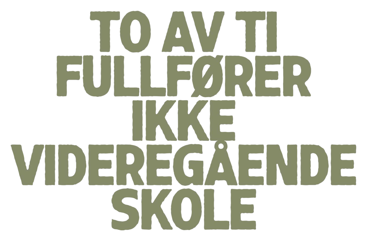To av ti fullfører ikke videregående skole